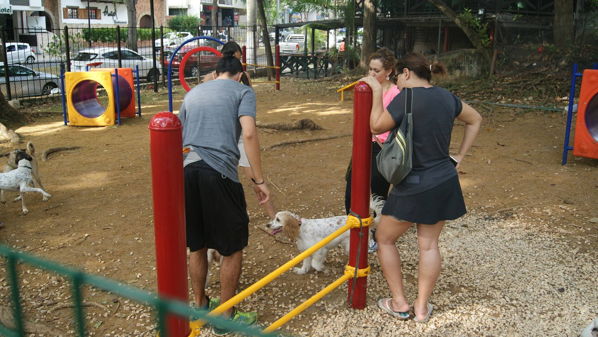 La Junta Comunal colocó un parque para las mascotas, así se divierten igual que los niños.