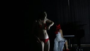 FAE 16 - obra ROSE - DINAMARCA foto