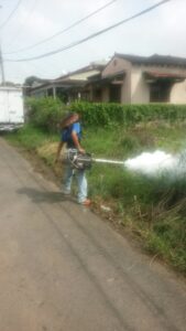 Fumigacion4