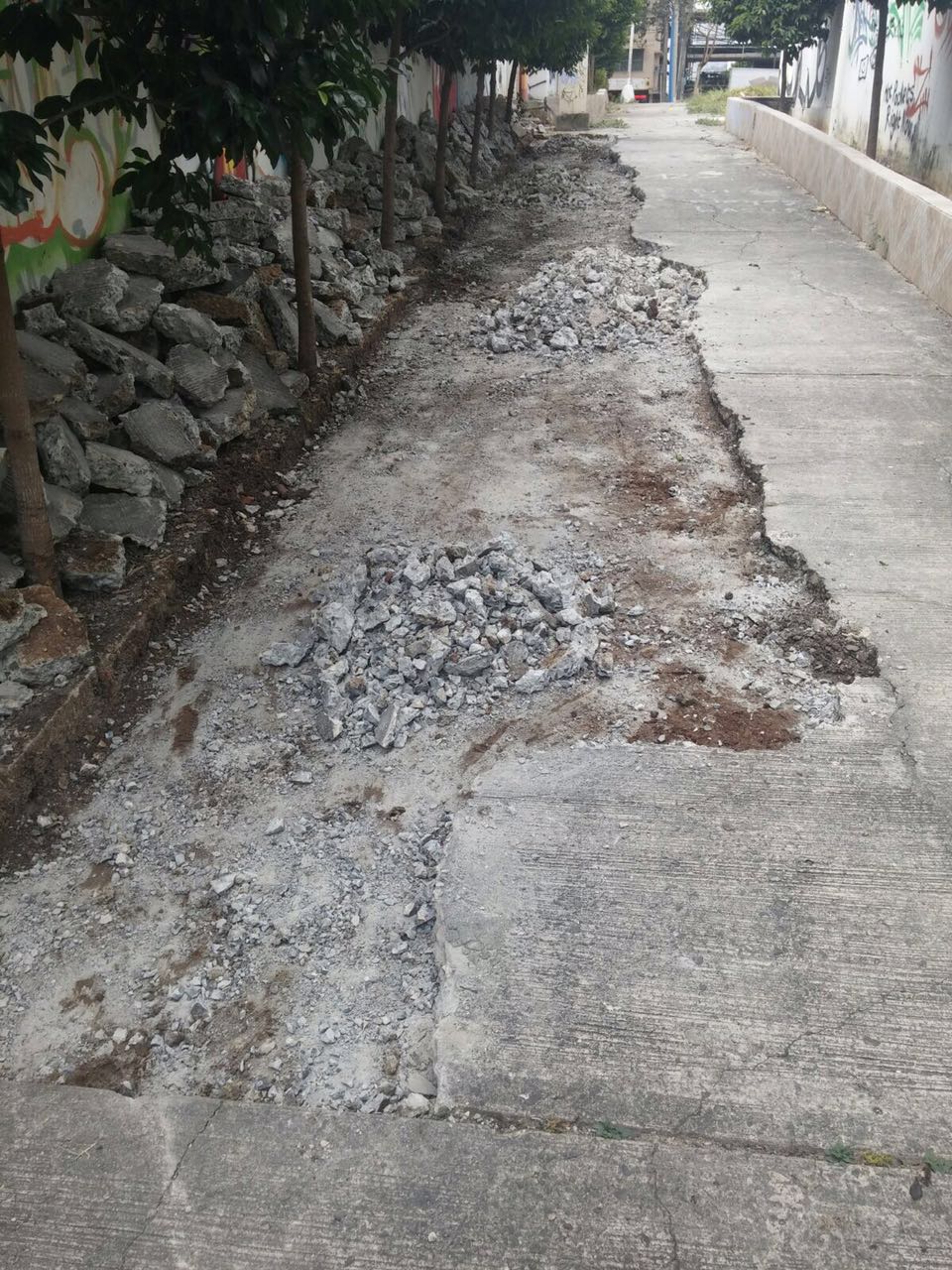 Foto: Junta Comunal de Bella Vista