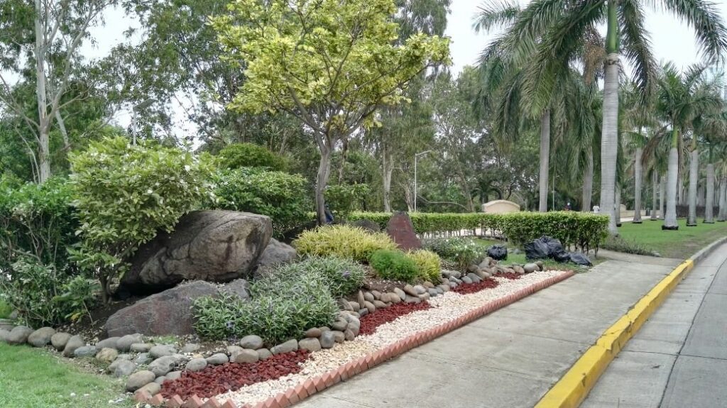 Se iniciaron trabajos de paisajismo.