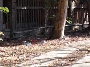 Vecinos piden que todos colaboren con el tema de la basura.
