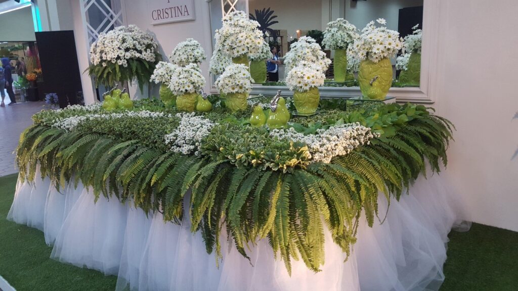 Esta es una oportunidad única de ver lo más hermoso de la flora panameña | Foto: Aydana Ruiz