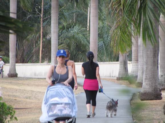 Salir a pasear al aire libre debe ser una actividad controlada. Se recomienda usar repelente y mosquiteros en los coches | Foto: Aydana Ruiz