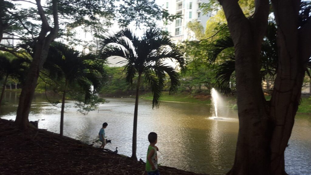 El mantenimiento de la laguna, así como del resto del parque es asumido por sus propietarios | Foto: AR